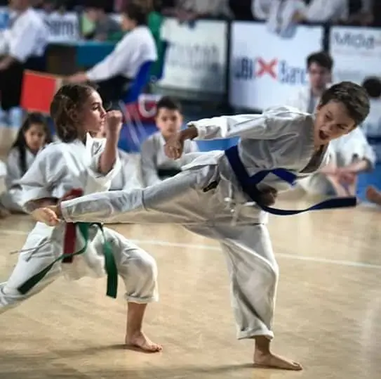 KARATE Shotokenshukai Vimodrone
